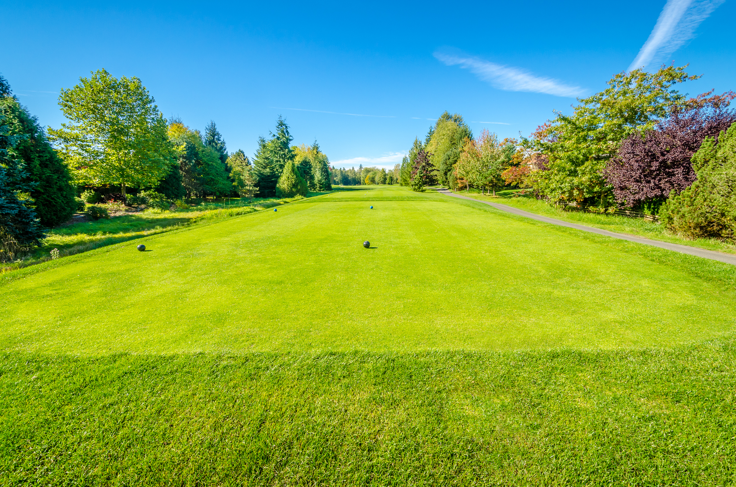 Golf course green